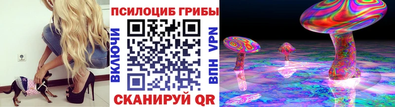 Псилоцибиновые грибы Psilocybine cubensis  купить наркотики цена  Катав-Ивановск 